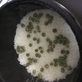 あやねるねるねるね's cooksnap of when they made 調味料は塩だけ！豆ご飯.