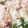 クックドロシー☆'s cooksnap of when they made 簡単美味！鶏のみぞれ煮♪.