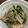 キタマニ's cooksnap of when they made ご飯が進む！シャキシャキ千筋水菜の煮物.