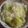 もじゃっぱ's cooksnap of when they made ほんのり甘～い♪ホクホクさつまいもご飯.
