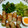 さくらスキップ's cooksnap of when they made 筍の肉巻き☆.