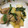 こぶ99's cooksnap of when they made 鶏とじゃがいもの炒め物.