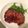 猫リン's cooksnap of when they made 花椒肉炒！豚肉の山椒焼き.
