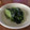 クックオブマーくん's cooksnap of when they made 小松菜の浅漬けワサビ風味 簡単 つまみ.
