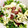 かなこっち's cooksnap of when they made 白菜で ちょっと大人のシーザーサラダ.