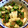 あっこ٭♫'s cooksnap of when they made 【作り置き】長芋&オクラのわさポン和え.