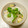 まきすぎ's cooksnap of when they made 簡単☆たけのこご飯.