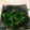 NAOばあさん's cooksnap of when they made ほうれん草のごま和え.