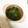 ダイナソーとペンギン's cooksnap of when they made 【農家のレシピ】かいわれ大根のおひたし.