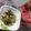 よちりん's cooksnap of when they made 胡瓜の酢の物で疲労回復×２＾＾.
