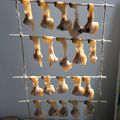 わらぴこ's cooksnap of when they made 亀崎の伝統食　串あさり.