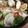 ふぉーぴろ's cooksnap of when they made 【簡単おもてなし】真鯛のアクアパッツァ.