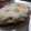 Kayadehutt's cooksnap of when they made 焼きアボカド。≪わさびマヨ味≫.