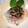 violets's cooksnap of when they made 乗せるだけねぎとろ丼♪.
