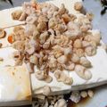 yukasato's cooksnap of when they made ピリ辛揚げ玉冷奴.