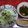 ごーあい's cooksnap of when they made キャベツとしめじの温サラダ.