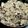 クックBMVMTZ☆'s cooksnap of when they made 鶏心臓（ハート）のもやし炒め.