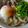 NAGANO久留米's cooksnap of when they made お鍋一つで♡簡単！お急ぎ肉たまうどん♪.
