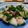 ばく★ちく's cooksnap of when they made 豚バラと大根の白だし煮.