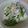 misato3's cooksnap of when they made ♡ささみと胡瓜の冷ややっこ♡.
