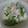 misato3's cooksnap of when they made ♡ささみと胡瓜の冷ややっこ♡.