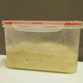 プング's cooksnap of when they made お手軽っ！！元種の作り方♪.
