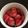 nakonakoko's cooksnap of when they made 祖母の味　二十日大根の甘酢漬け.