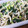 loveyusuke's cooksnap of when they made 捨てないで♫大根の葉とジャコの佃煮♡.