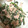 tayuko310's cooksnap of when they made せりとツナのわさマヨ和え.