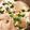 みゆは料理修行中's cooksnap of when they made 台湾の定番朝食！鹹豆漿！.