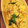 ぐぐんきちゃん's cooksnap of when they made シャキっとレタスと鮭の炒飯.