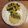 クックM74YDT☆'s cooksnap of when they made ふわしゅわ♪魅惑の玄米粉パンケーキ.