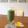 momotomomi's cooksnap of when they made 美習慣♡基本のグリーンスムージー.
