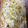juillet27's cooksnap of when they made ★もやしの保存方法★.