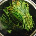 ｱｲﾊﾅ's cooksnap of when they made わらびの下ごしらえ.