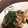 クック6RTSH8☆'s cooksnap of when they made 生姜が主役。絶品、肉野菜炒め.