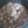 ふぁんたにゃん's cooksnap of when they made ジャガイモと塩昆布の炊き込みご飯.