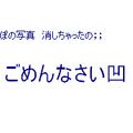 papikun's cooksnap of when they made 定番☆焼きうどん.