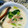 cotori119's cooksnap of when they made 豚肉と青梗菜のミルクスープ.