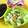 こはる・▽・'s cooksnap of when they made 大根の葉と皮金平※覚書.