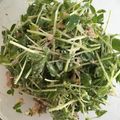 笑顔がみたい's cooksnap of when they made 旨い！豆苗とツナのこんぶ茶和え.