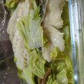 あゆたっくん's cooksnap of when they made 下味冷凍：タラと白菜のレンジ蒸し.