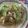 クックR5CMFN☆'s cooksnap of when they made 【簡単】サラダきしめん.