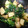 キャラメグ♪'s cooksnap of when they made じゃがいもとほうれん草のひき肉炒め.