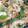 reico91's cooksnap of when they made いんげんと人参の地味うま!!和風サラダ.