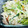 クックYIMPJ1☆'s cooksnap of when they made 簡単☆きゅうり&ささみのサラダ.
