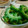 yukitarooo's cooksnap of when they made ゴーヤのだし浸し.