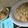 クック9P6O5D☆'s cooksnap of when they made 簡単！ガーリックたらこチャーハン.