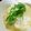 ののちぁ's cooksnap of when they made 朝はヘルシー中華粥.