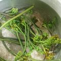 青石ことり's cooksnap of when they made ワラビのアク抜き（重曹版）.